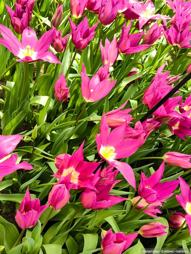 , Музыкальная История 112