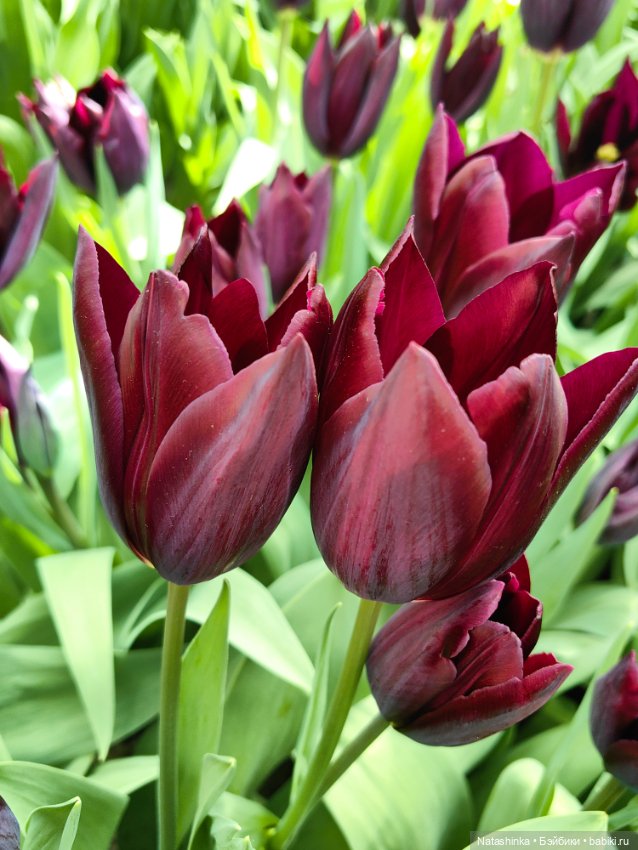 , Музыкальная История 112 (фото 7)