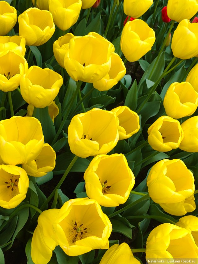 , Музыкальная История 112