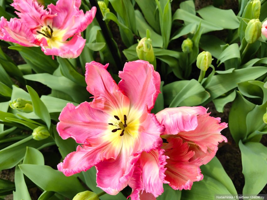 , Музыкальная История 112 (фото 4)