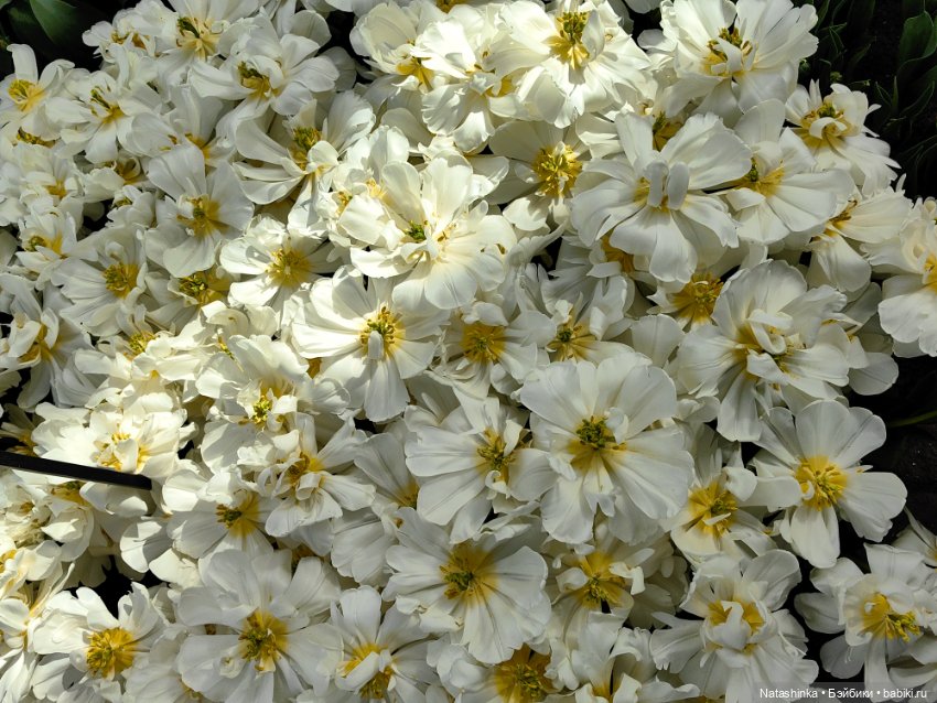 , Музыкальная История 112 (фото 9)