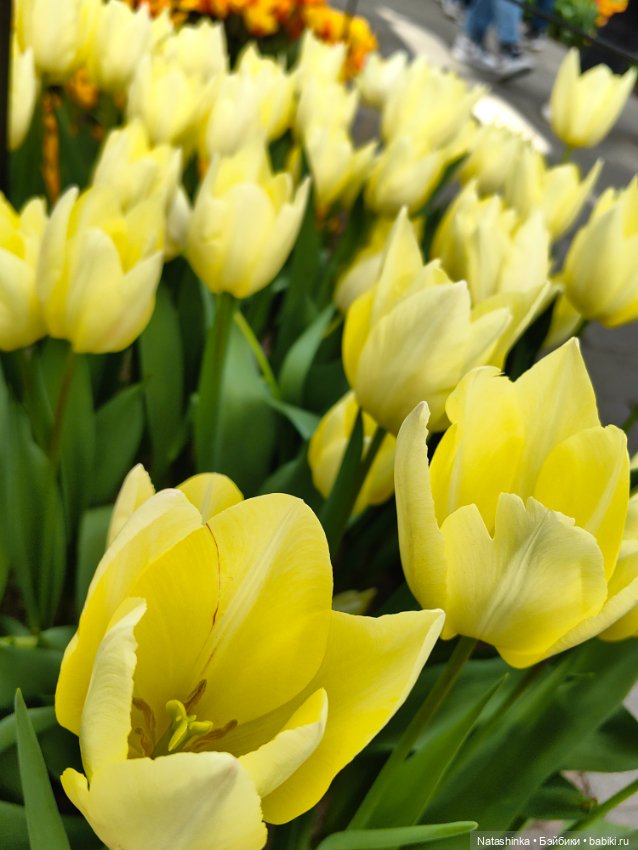 , Музыкальная История 112 (фото 6)