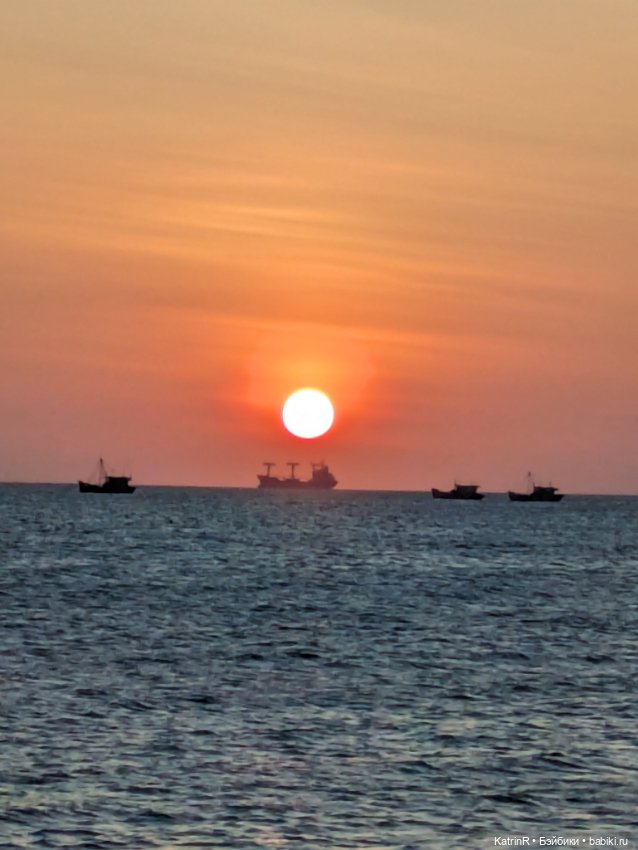 Авторские мишки Тедди и друзья: фото