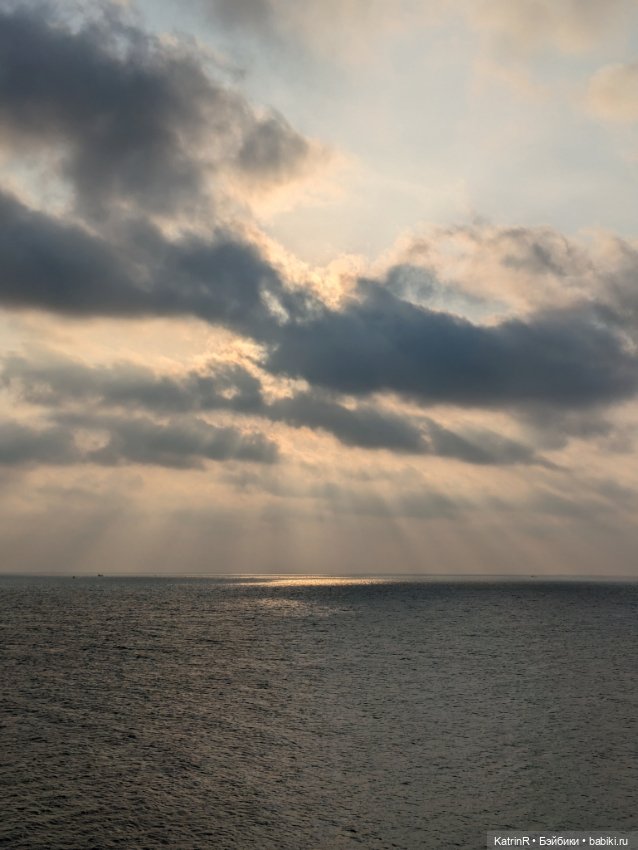 Авторские мишки Тедди и друзья: фото