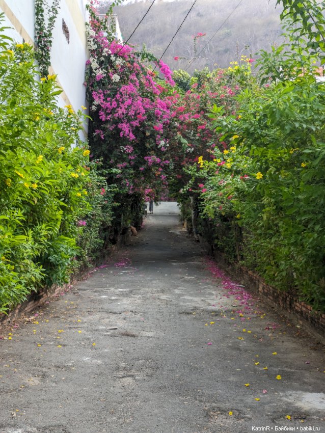 Ослик Иа — Авторские мишки Тедди и друзья: фото