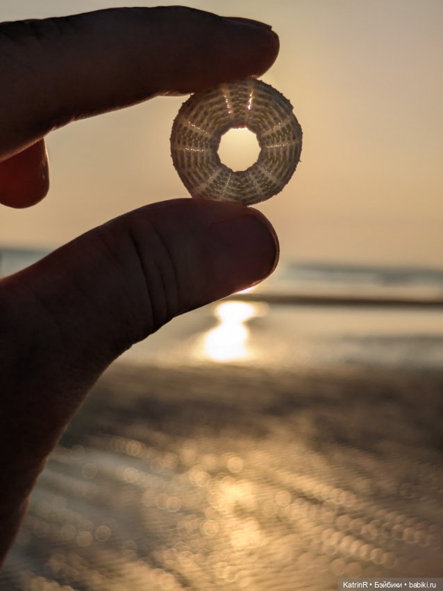 Ослик Иа — Авторские мишки Тедди и друзья: фото