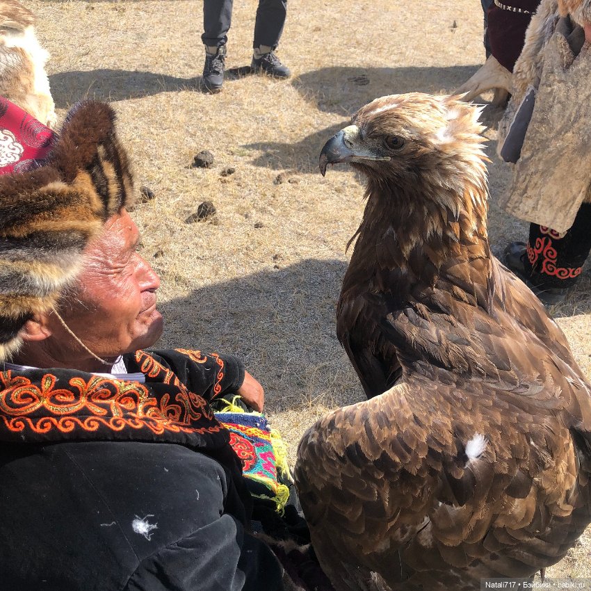 Знакомство с Монголией — Туризм и путешествия: фотоотчеты из поездок (фото 7)