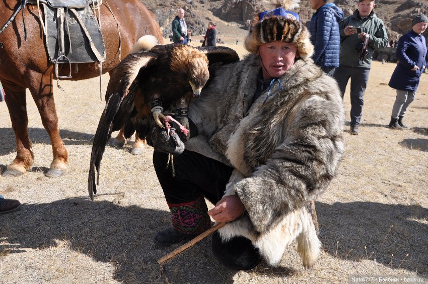 Знакомство с Монголией — Туризм и путешествия: фотоотчеты из поездок (фото 6)