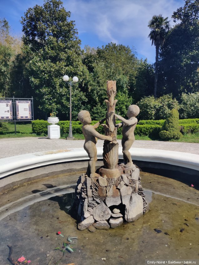 Адлер: Южные культуры — Туризм и путешествия: фотоотчеты из поездок