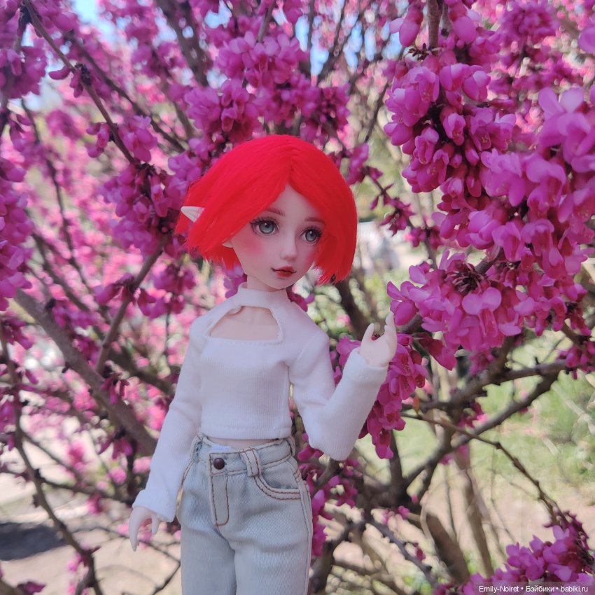 Адлер: Южные культуры — Туризм и путешествия: фотоотчеты из поездок (фото 7)