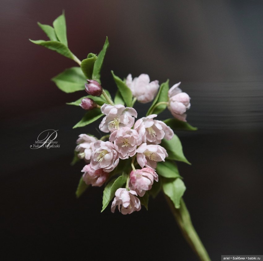 Реалистичные миниатюрные цветы от Юкари Миядзаки (фото 3)