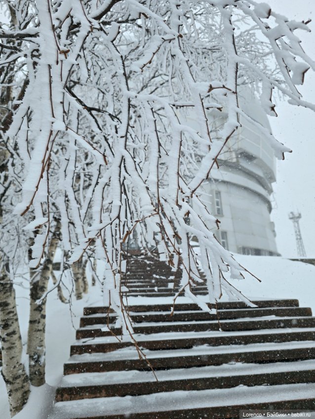 Архыз 2024 — Винтажные куклы ГДР (Немки): Бигги (фото 2)