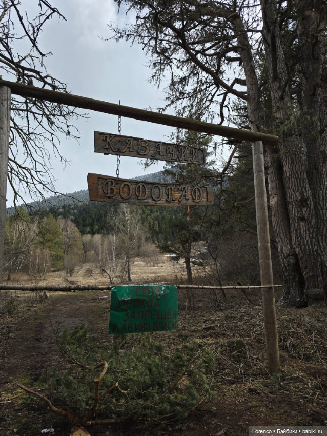 Архыз 2024 — Винтажные куклы ГДР (Немки): Бигги