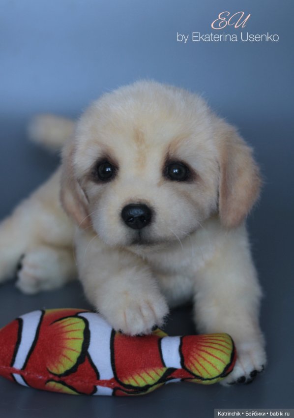 Щенок золотистого ретривера (фото 5)