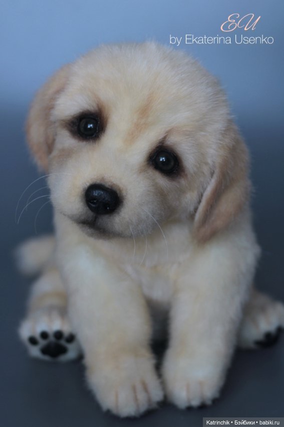 Щенок золотистого ретривера