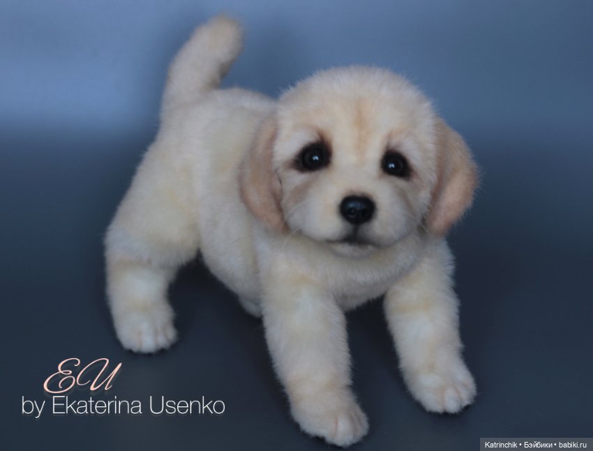 Щенок золотистого ретривера