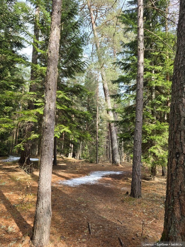 Архыз 2024 — Винтажные куклы ГДР (Немки): Бигги