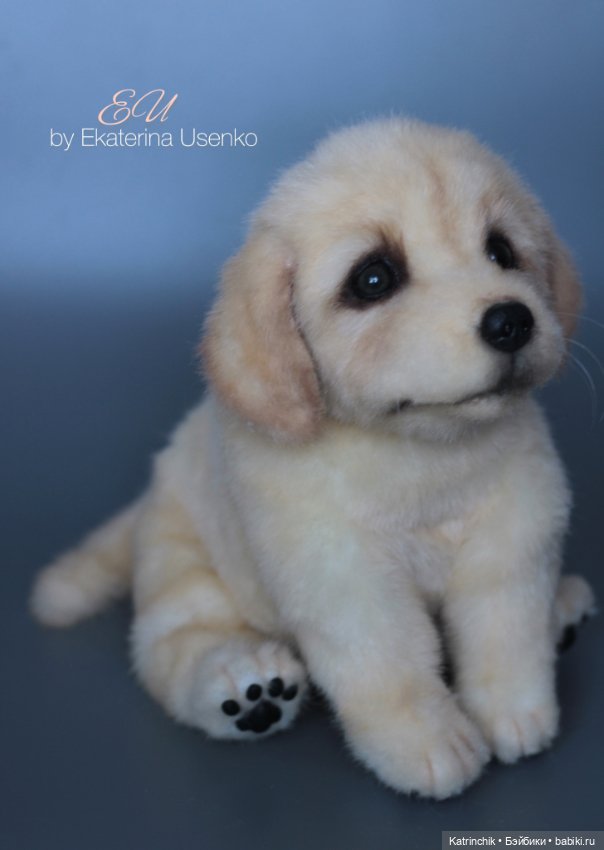 Щенок золотистого ретривера