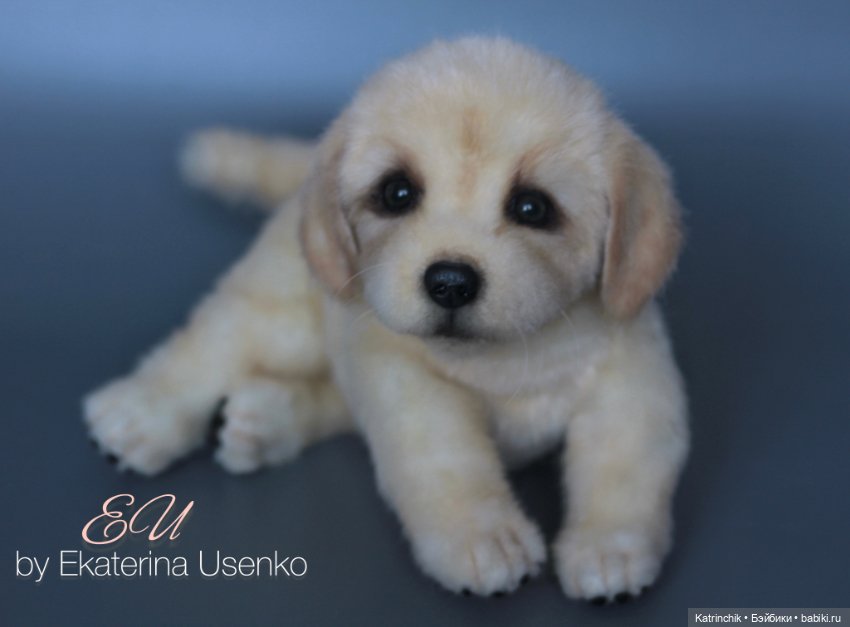 Щенок золотистого ретривера (фото 7)