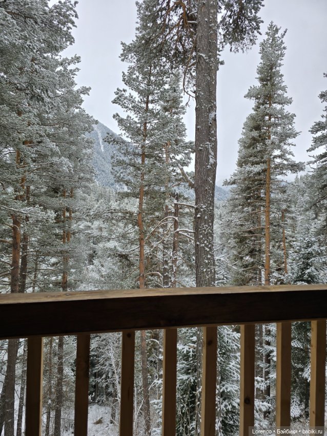 Архыз 2024 — Винтажные куклы ГДР (Немки): Бигги