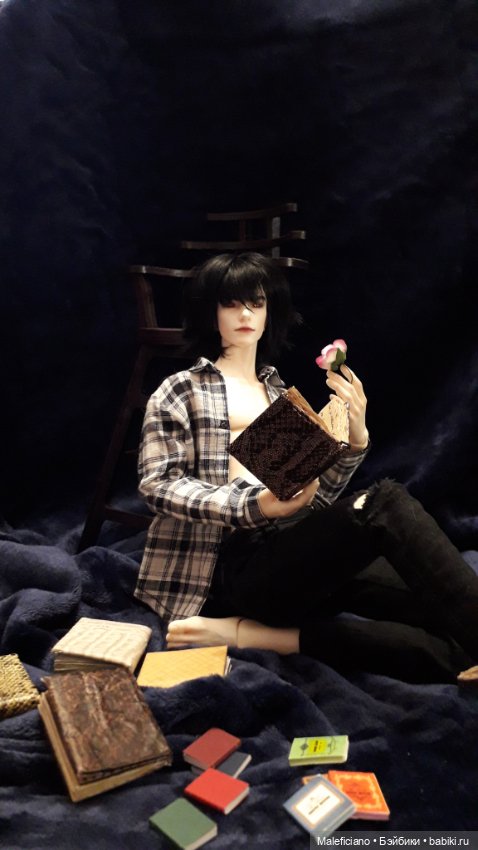 Литературный вечер — Куклы Iplehouse (Иплхаус): BJD (БЖД) (фото 5)