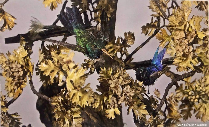 Механические изделия мастерской Б. Бонтана и Ж. Фолибуа (фото 5)