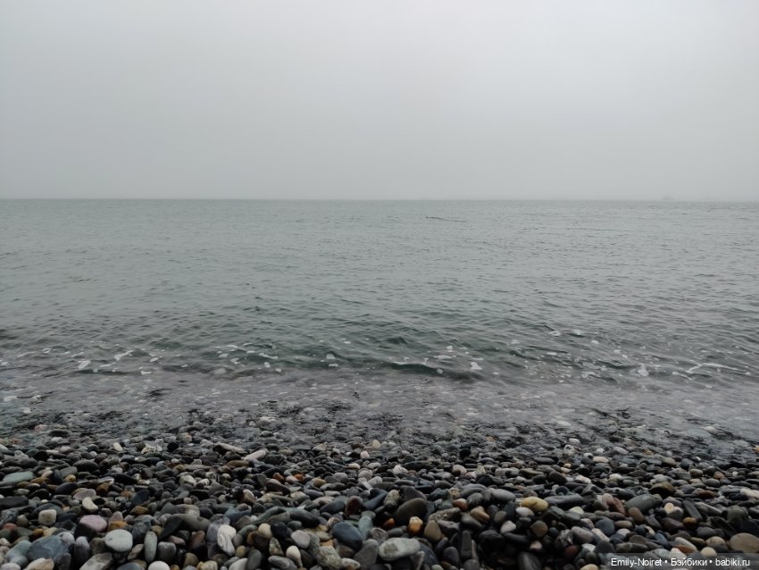 Сочи: Дендрарий и прощание с морем