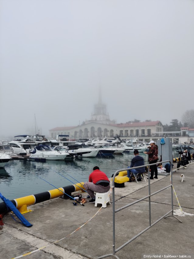 Сочи: Дендрарий и прощание с морем