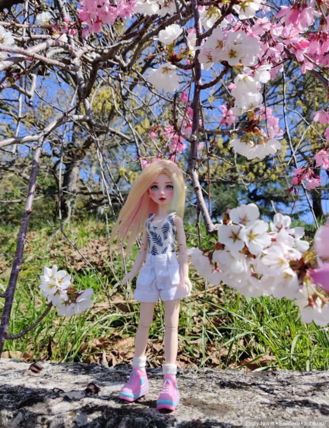 Сочи: Дендрарий и прощание с морем (фото 6)