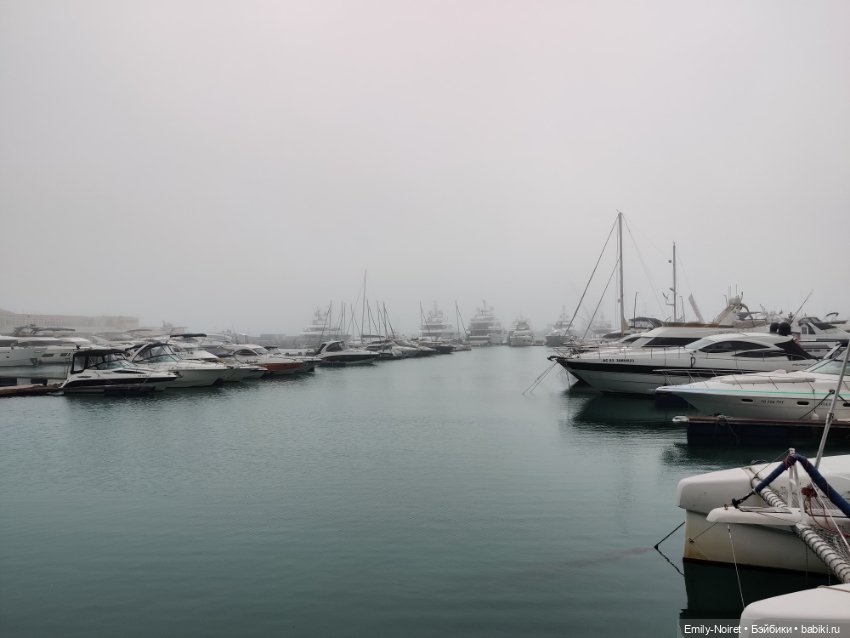 Сочи: Дендрарий и прощание с морем