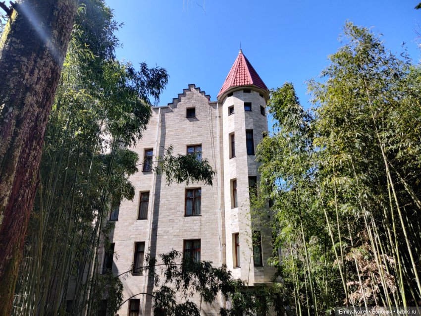 Сочи: Дендрарий и прощание с морем