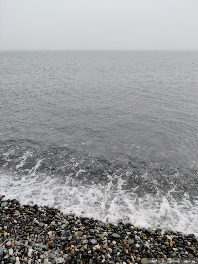 Сочи: Дендрарий и прощание с морем