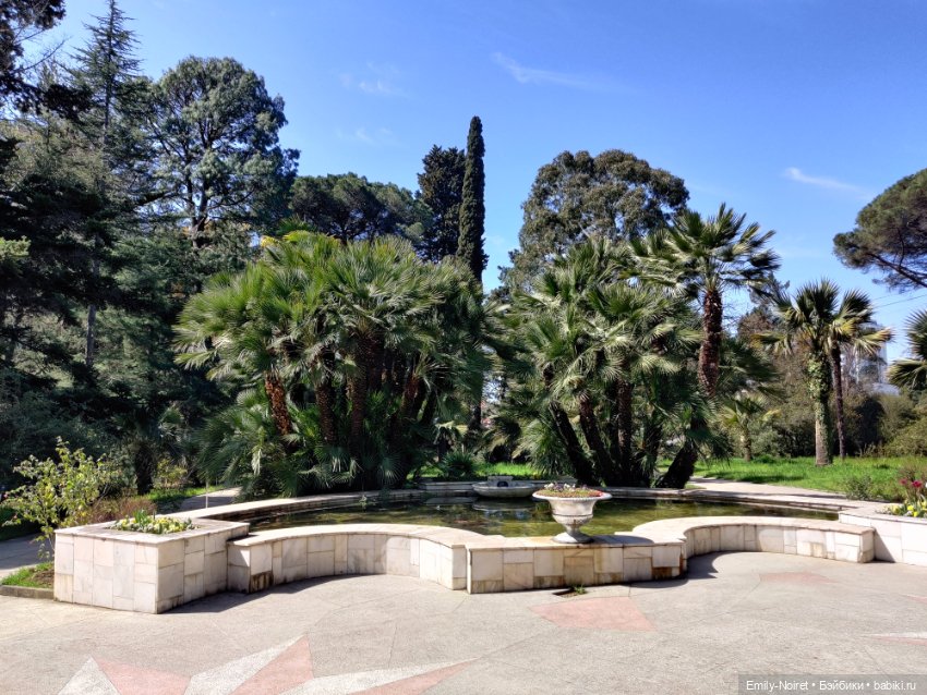 Сочи: Дендрарий и прощание с морем