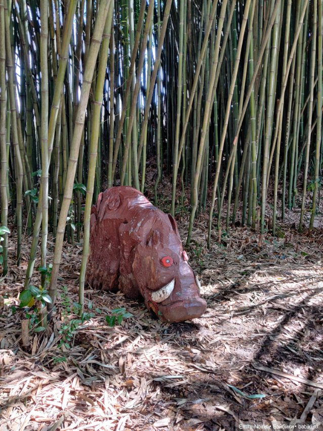 Сочи: Дендрарий и прощание с морем