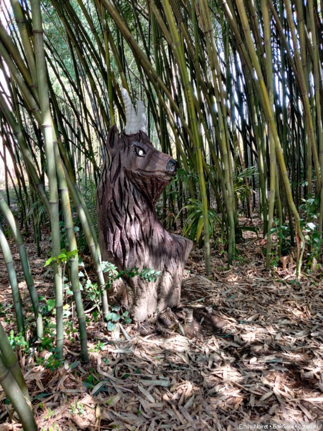 Сочи: Дендрарий и прощание с морем