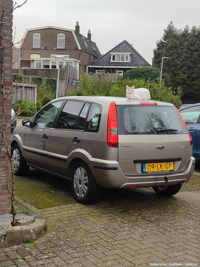 Музыкальная История 114 — Туризм и путешествия: фотоотчеты из поездок