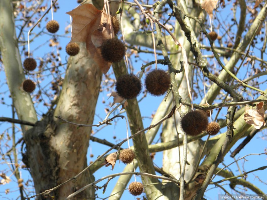 Моя Италия десять лет назад (фото 4)
