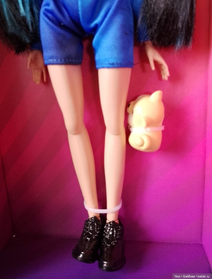 Куклы бренда Oh! My Top ( О май топ). Набор с питомцем (фото 10)