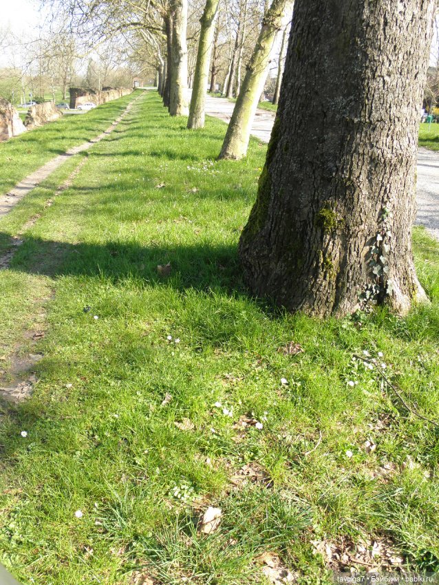 Моя Италия десять лет назад