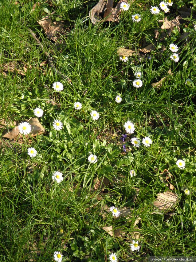 Моя Италия десять лет назад