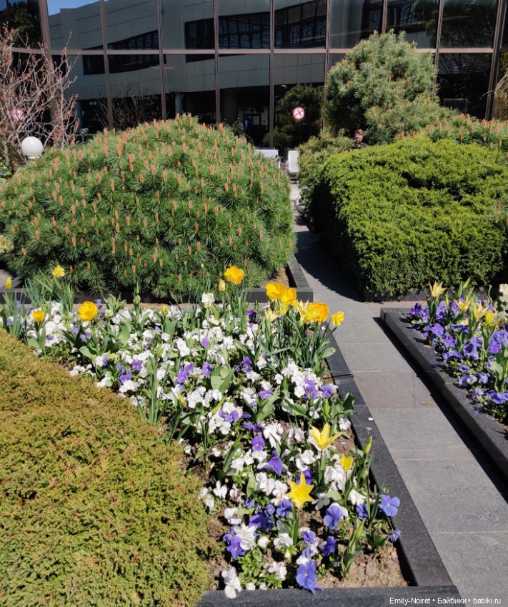 Сочи: Пора возвращаться домой (фото 9)