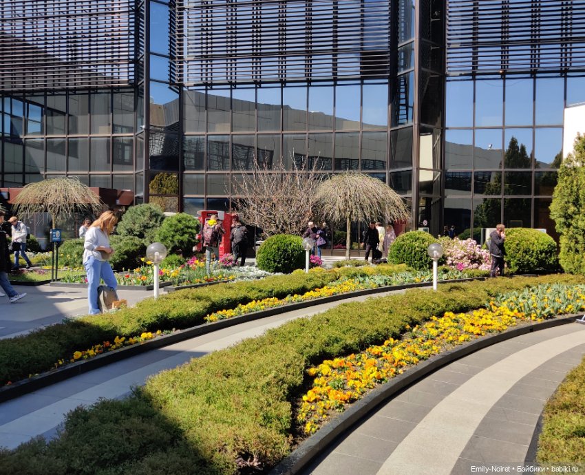 Сочи: Пора возвращаться домой (фото 8)