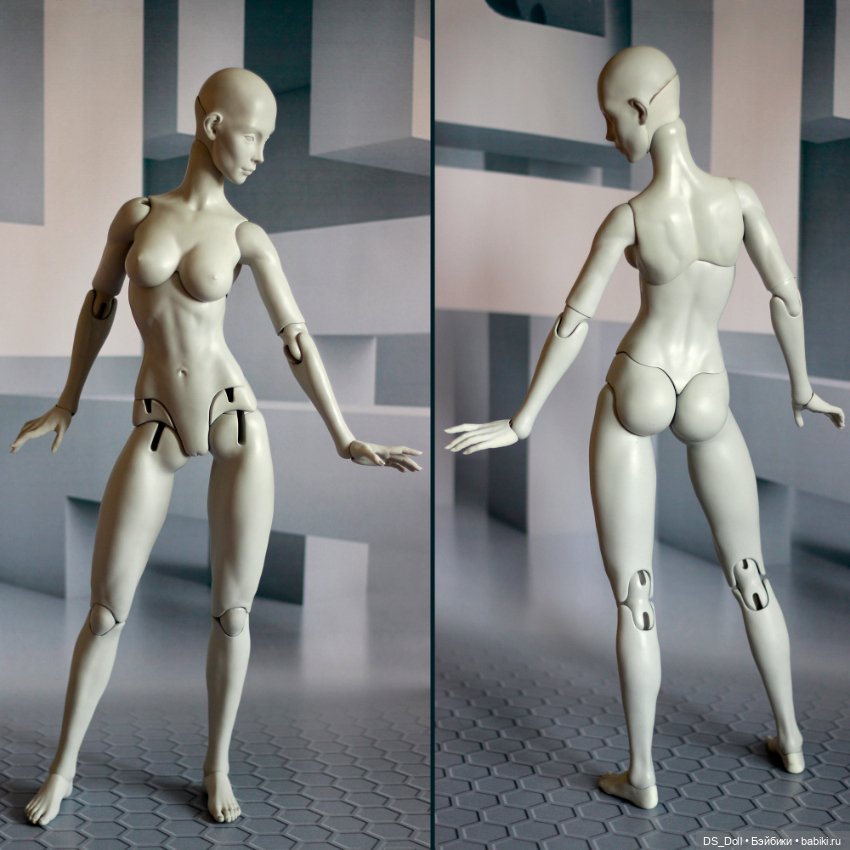 Кошка и Лиса на теле Амазонка (размер 1/3) (фото 2)