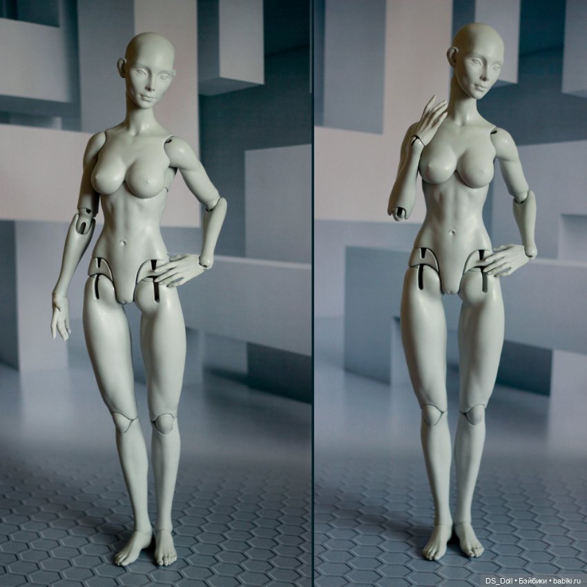 Кошка и Лиса на теле Амазонка (размер 1/3) (фото 4)