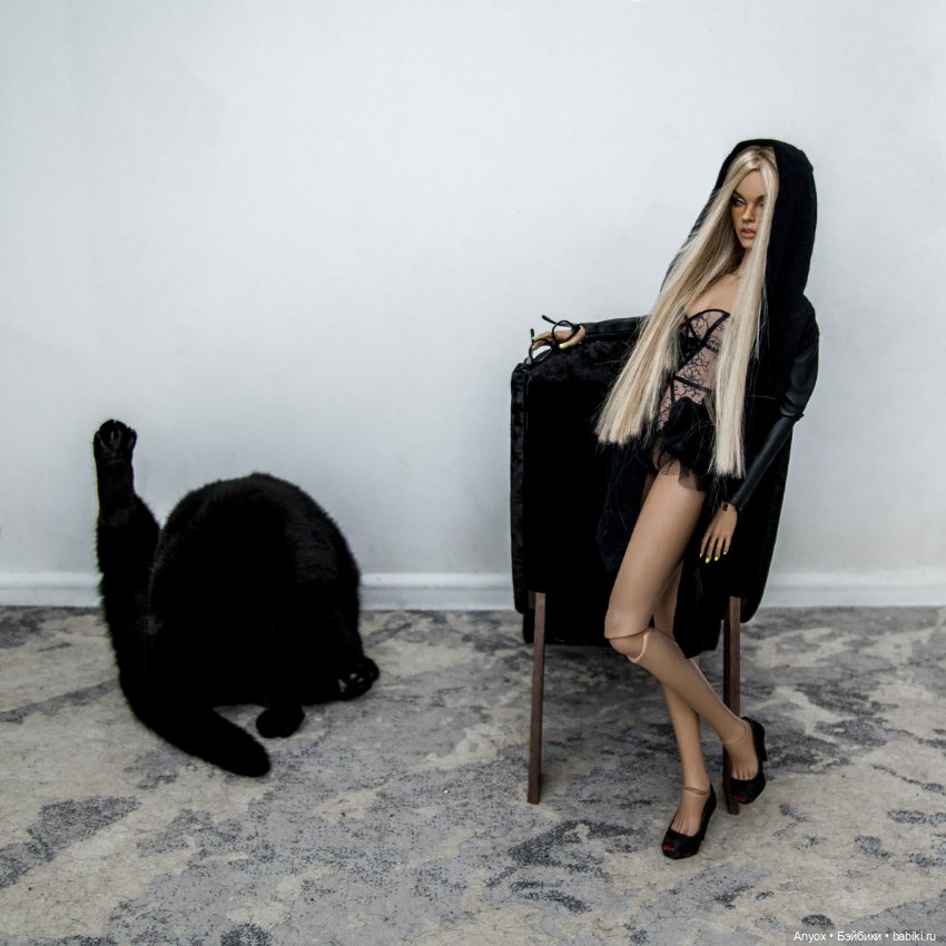 Стелла, неприличный кот и 2 пса. Осторожно, шок-контент