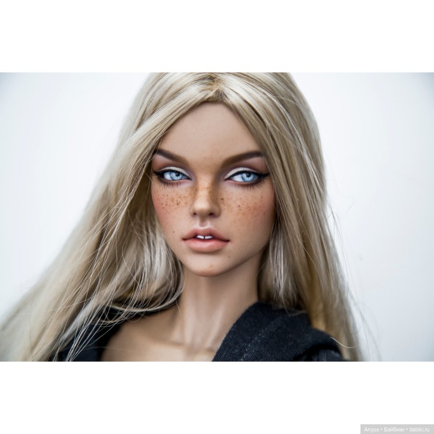 Стелла, неприличный кот и 2 пса. Осторожно, шок-контент