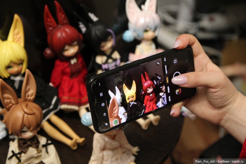 Ну-ка, сколько кроликов и котов вы насчитаете