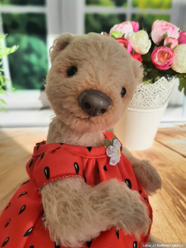 Арбузная корочка — Авторские мишки Тедди и друзья: фото