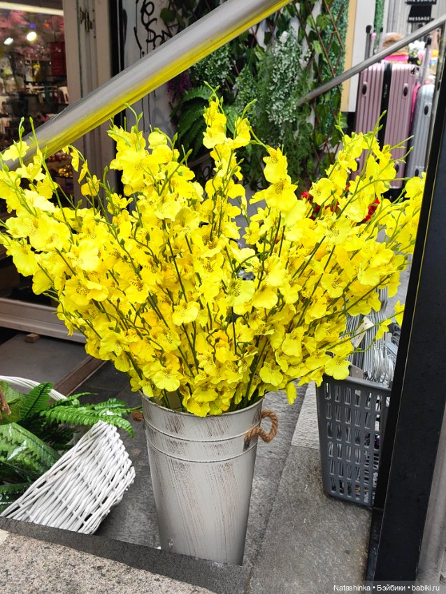 Музыкальная История 116 — Туризм и путешествия: фотоотчеты из поездок