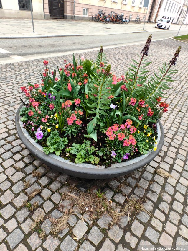 Музыкальная История 116 — Туризм и путешествия: фотоотчеты из поездок (фото 9)